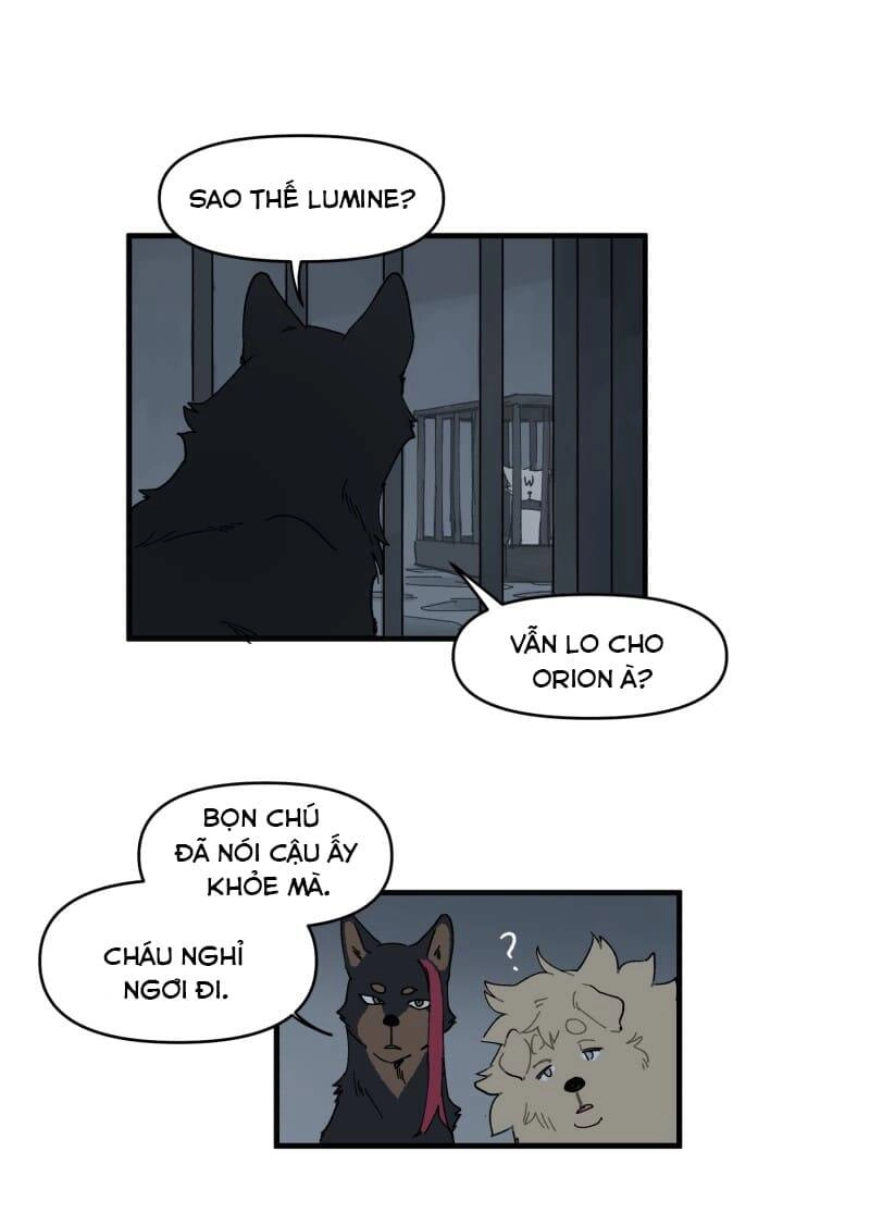 Lumine Chapter 146 - 27