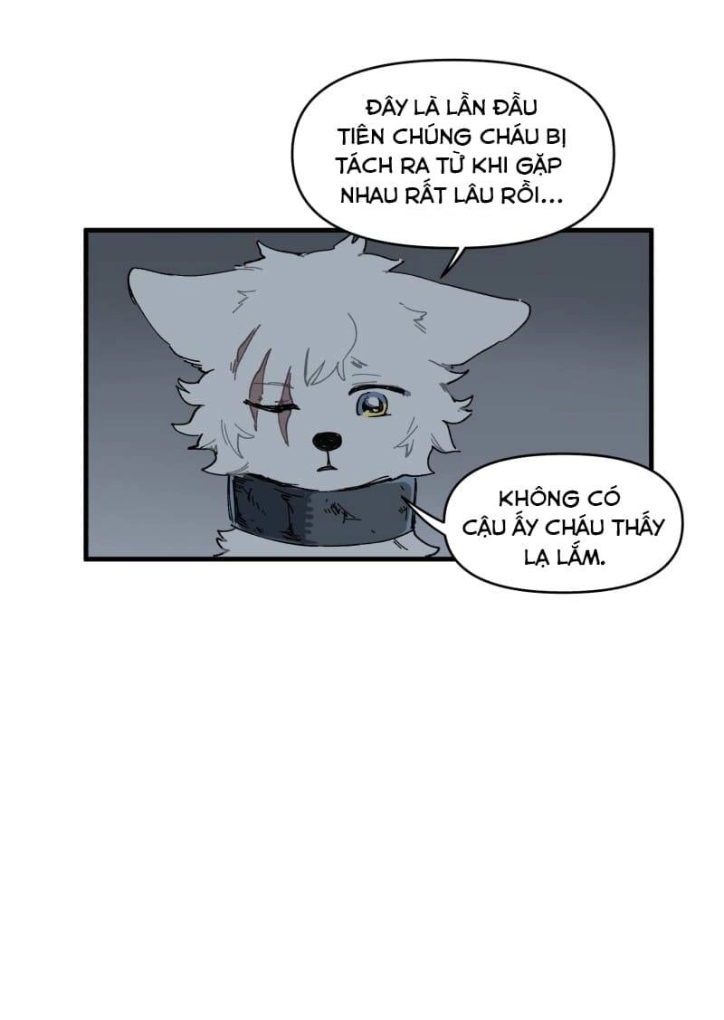 Lumine Chapter 146 - 30