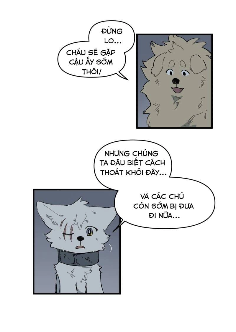 Lumine Chapter 146 - 31