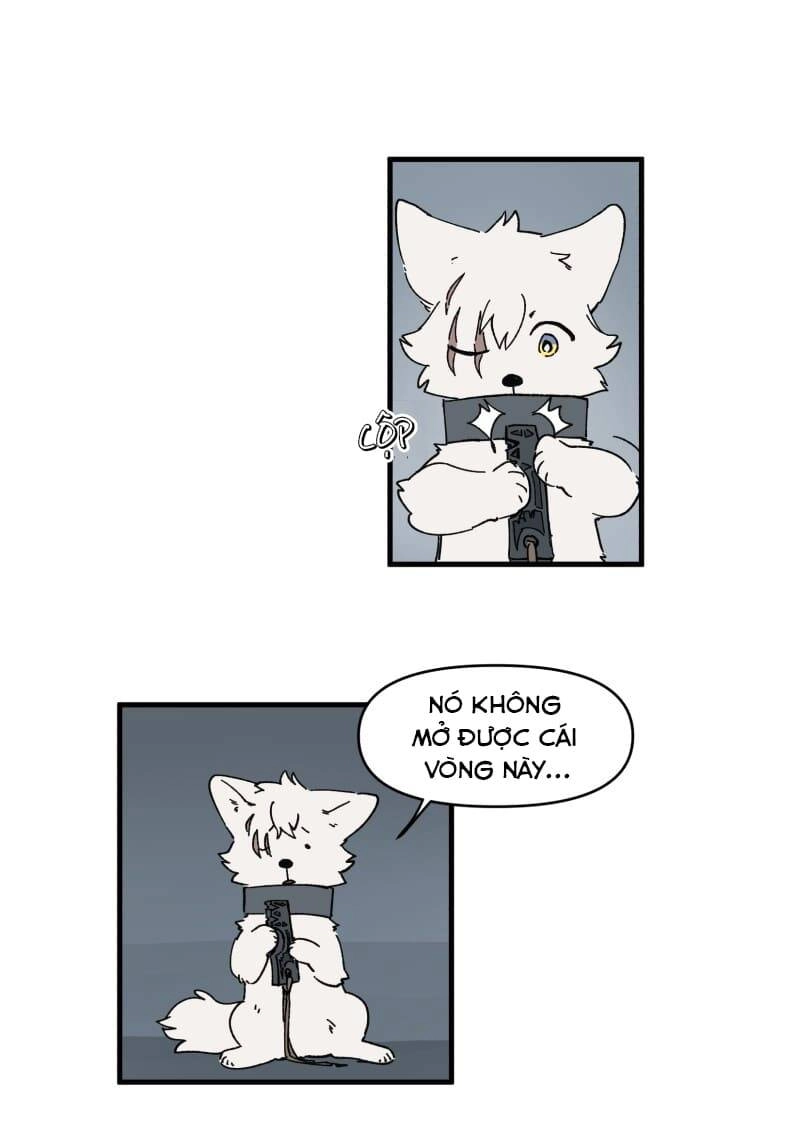 Lumine Chapter 147 - 5