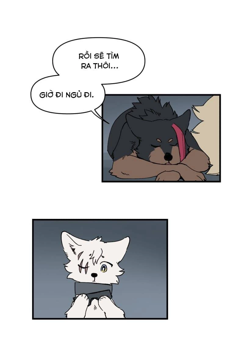 Lumine Chapter 147 - 6