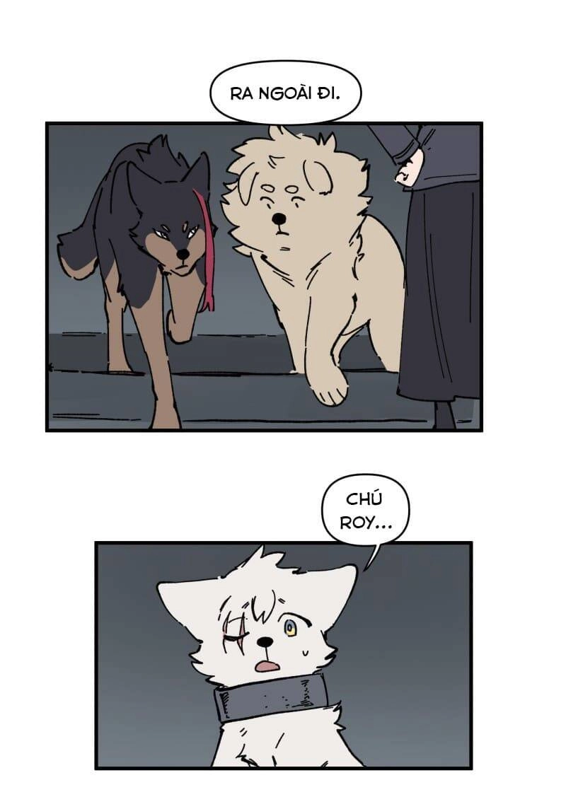 Lumine Chapter 149 - 16