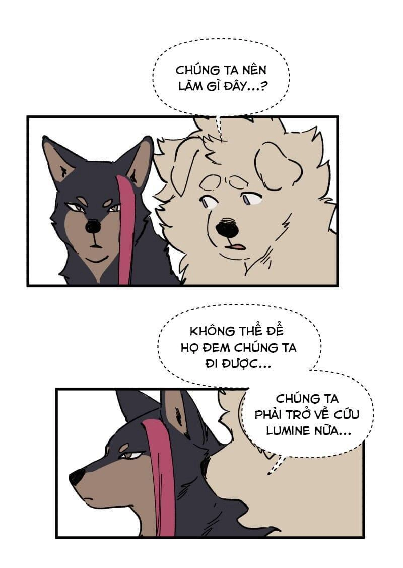 Lumine Chapter 149 - 21