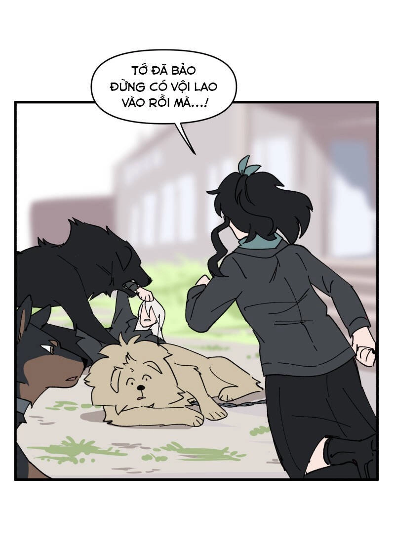 Lumine Chapter 151 - 10