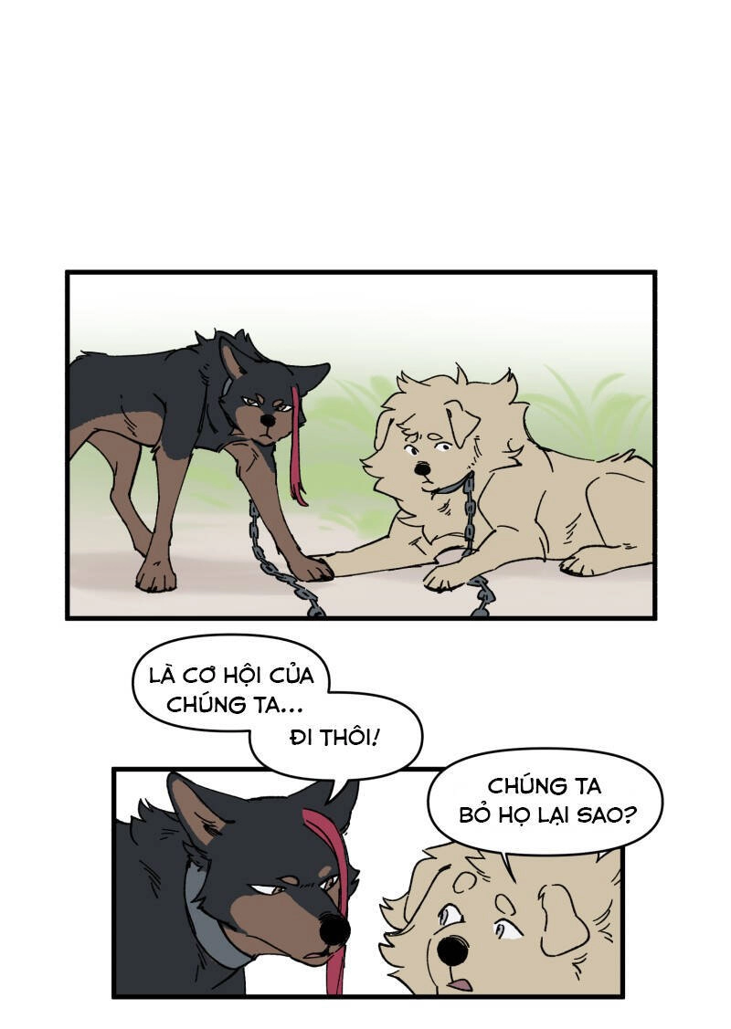 Lumine Chapter 151 - 17