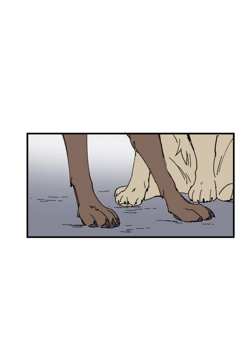 Lumine Chapter 152 - 19