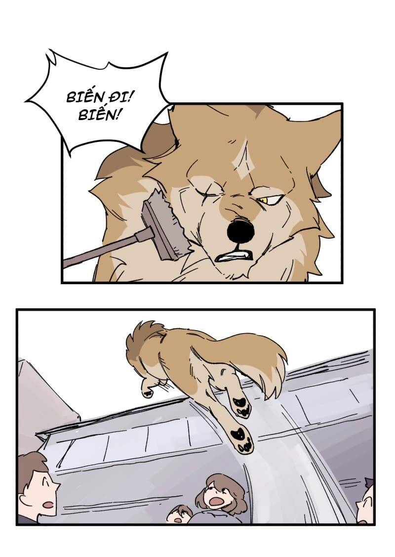 Lumine Chapter 152 - 31