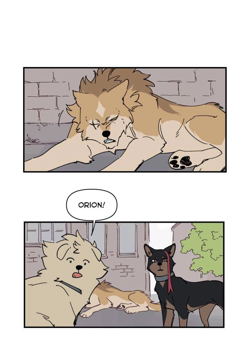 Lumine Chapter 153 - 7