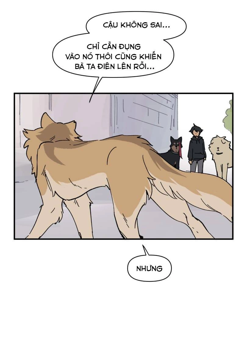 Lumine Chapter 153 - 17