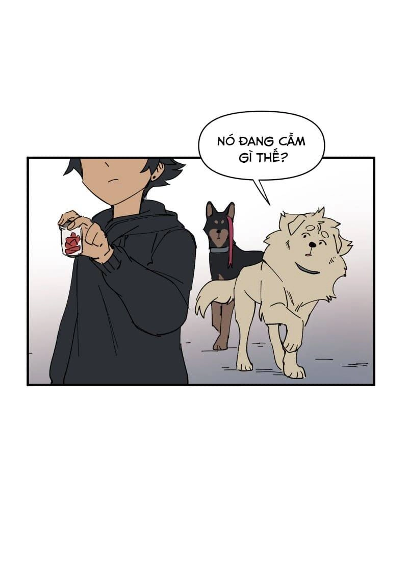 Lumine Chapter 154 - 4