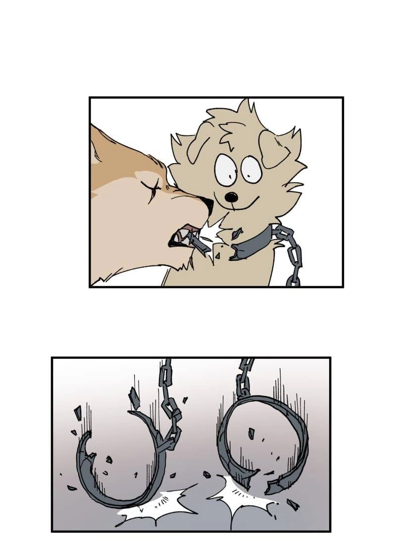 Lumine Chapter 154 - 23