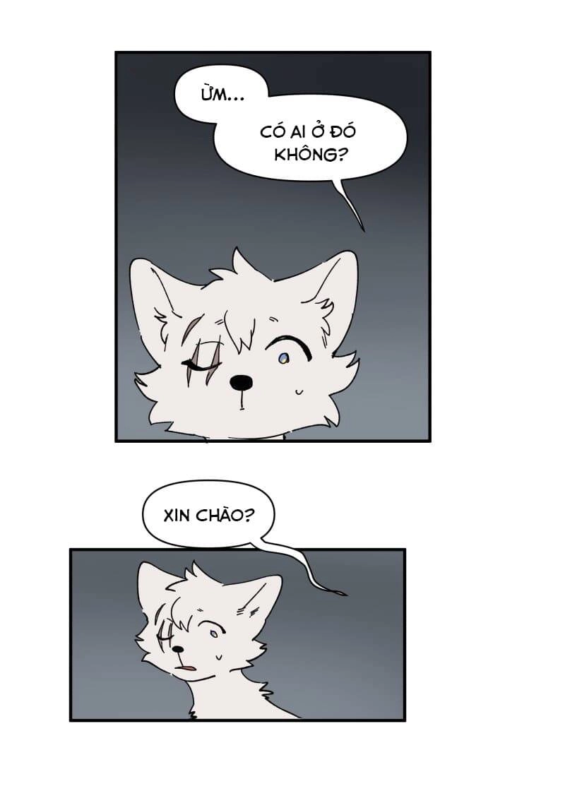 Lumine Chapter 155 - 5