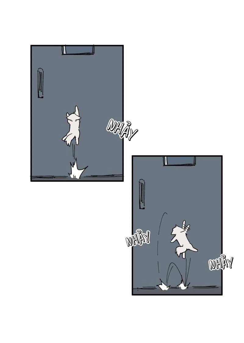 Lumine Chapter 155 - 8