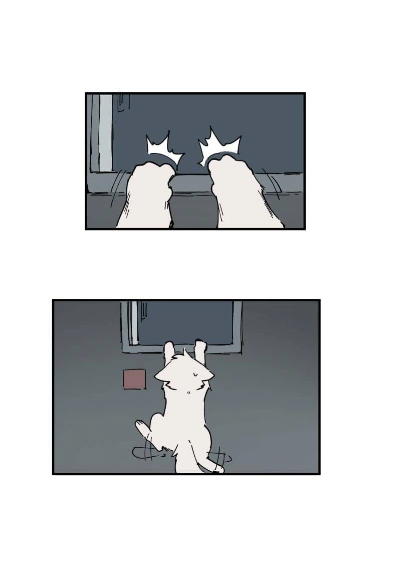 Lumine Chapter 155 - 9