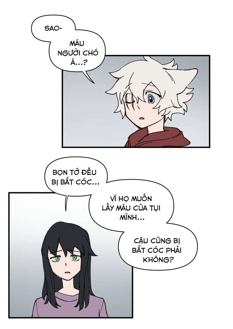 Lumine Chapter 155 - 14