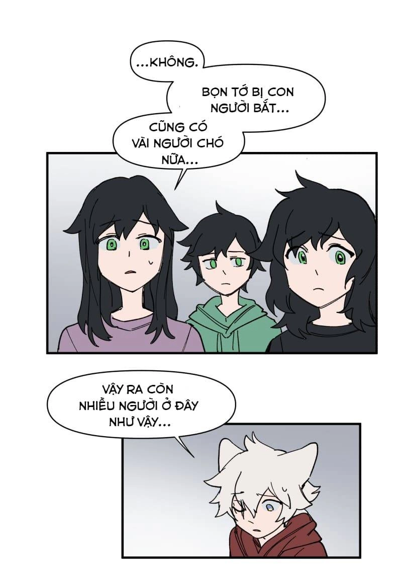 Lumine Chapter 155 - 16