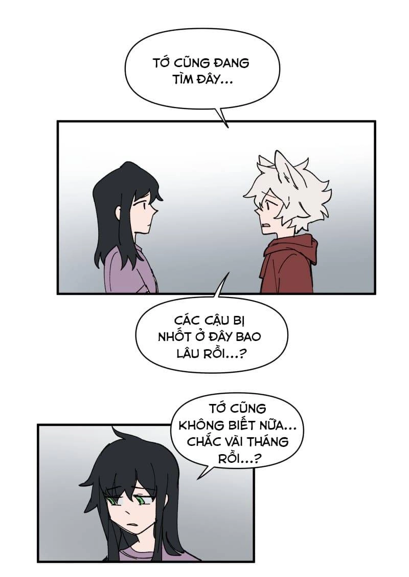 Lumine Chapter 155 - 18