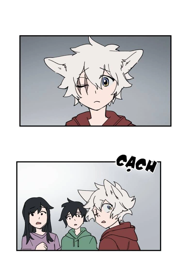 Lumine Chapter 155 - 19