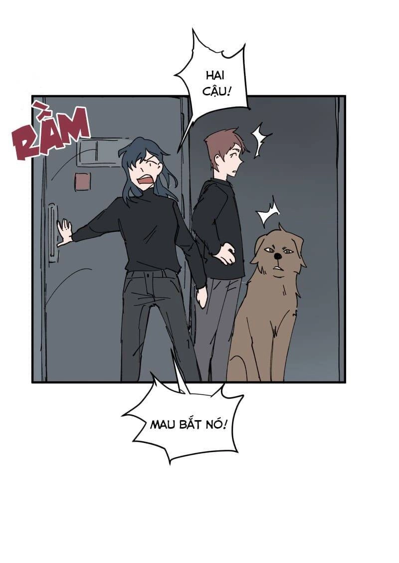 Lumine Chapter 156 - 19