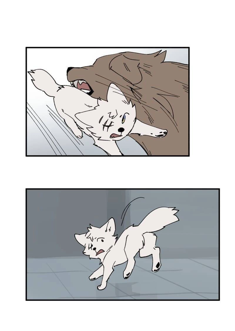 Lumine Chapter 156 - 21