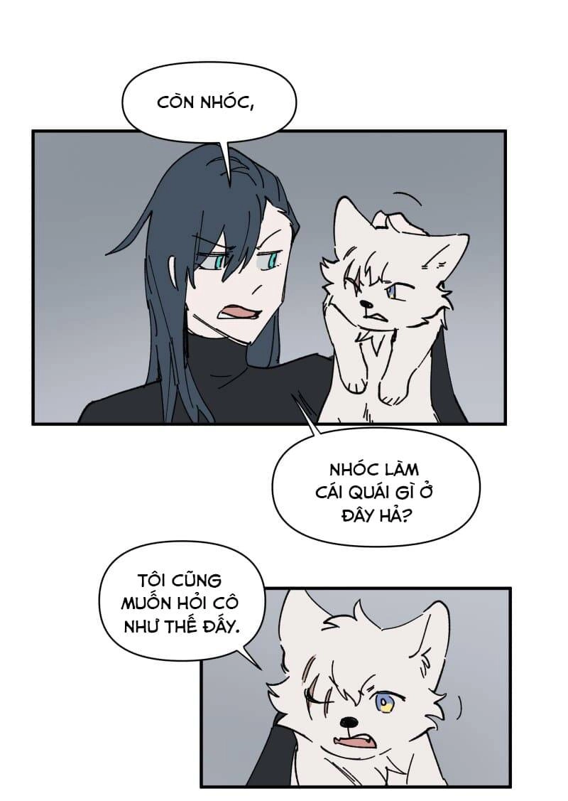 Lumine Chapter 157 - 8