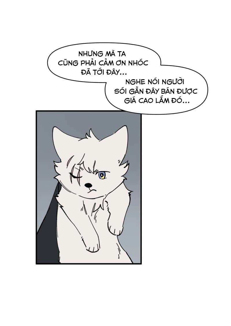 Lumine Chapter 157 - 10