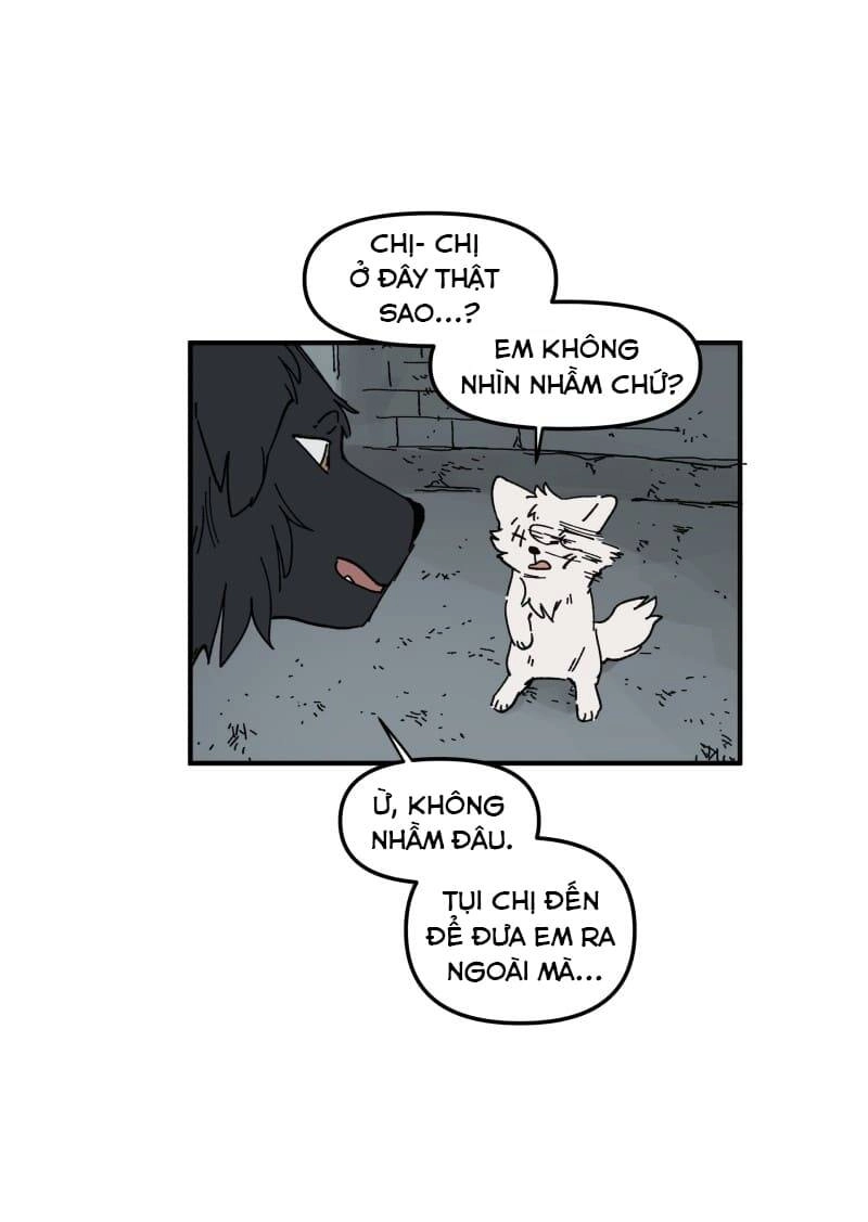 Lumine Chapter 160 - 9