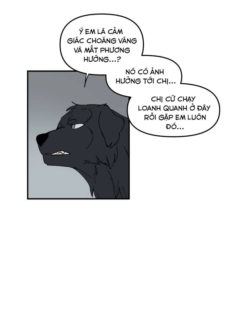 Lumine Chapter 160 - 12