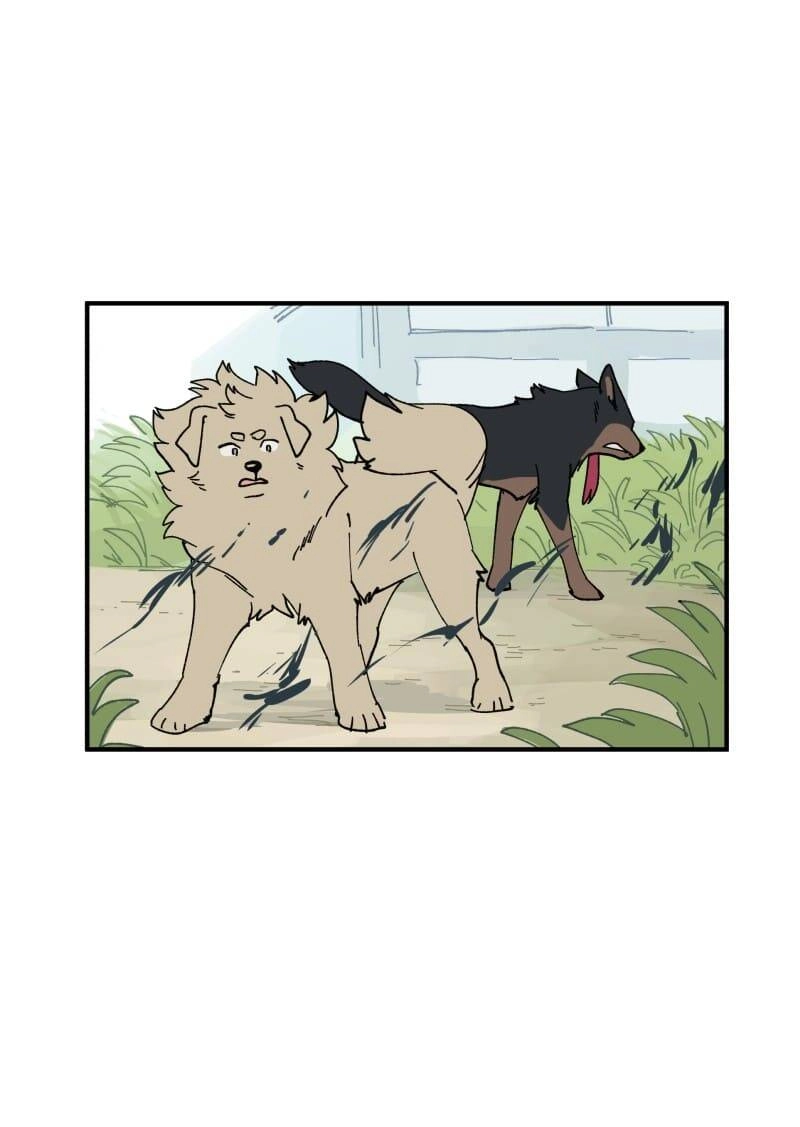 Lumine Chapter 163 - 13