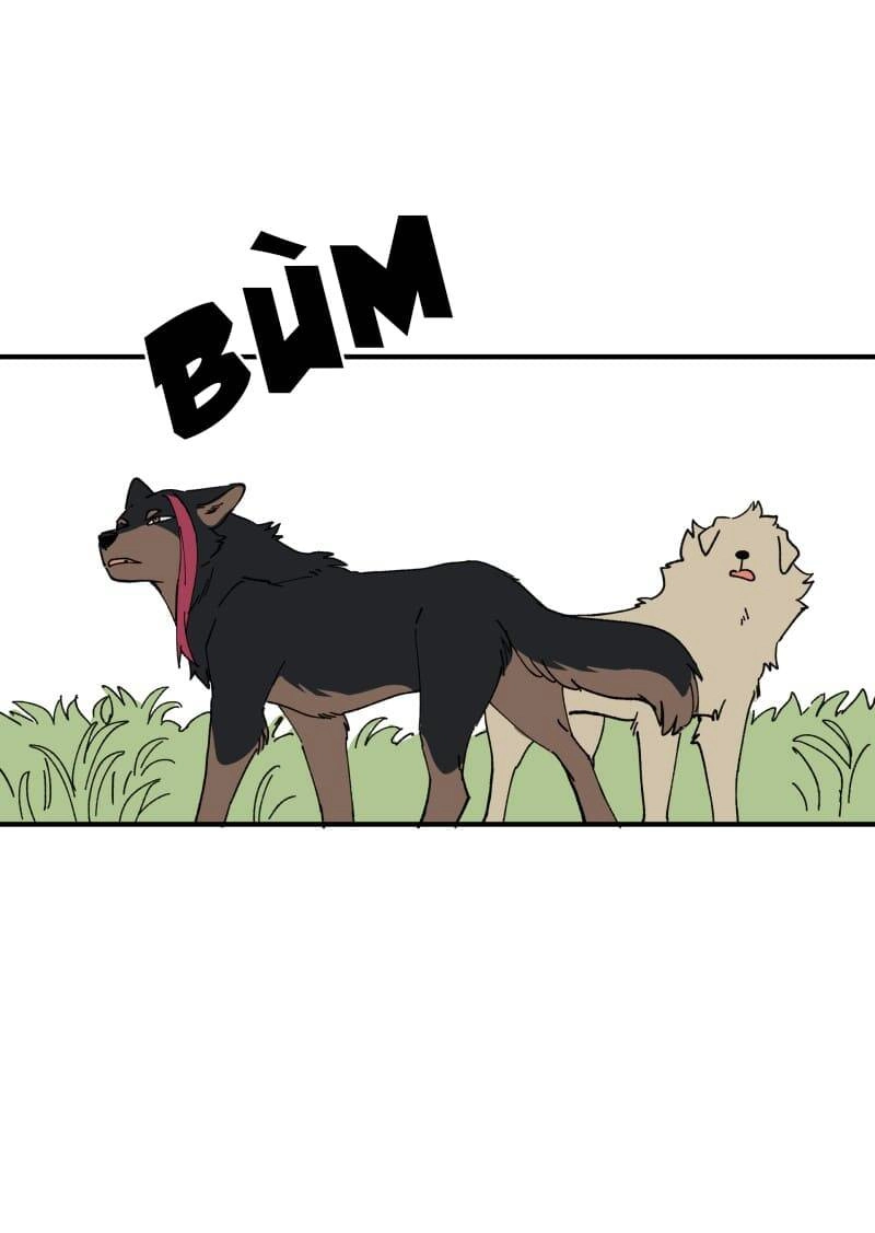 Lumine Chapter 163 - 14