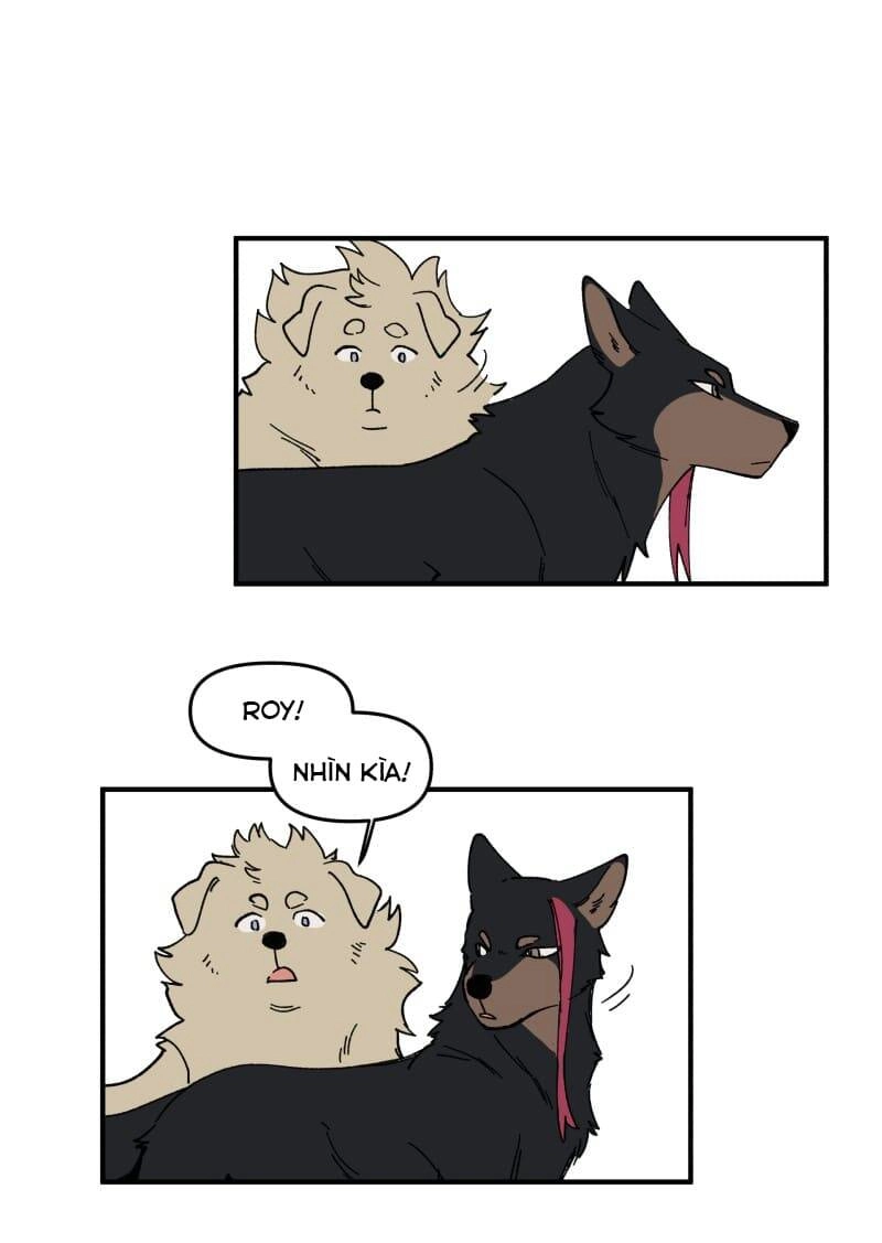 Lumine Chapter 163 - 17