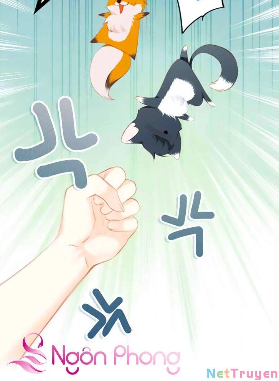 Con Tim Rung Động 3 Chapter 8.1 - 32