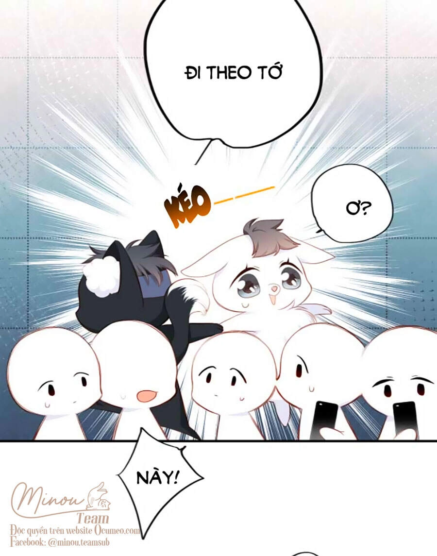 Con Tim Rung Động 3 Chapter 11 - 13