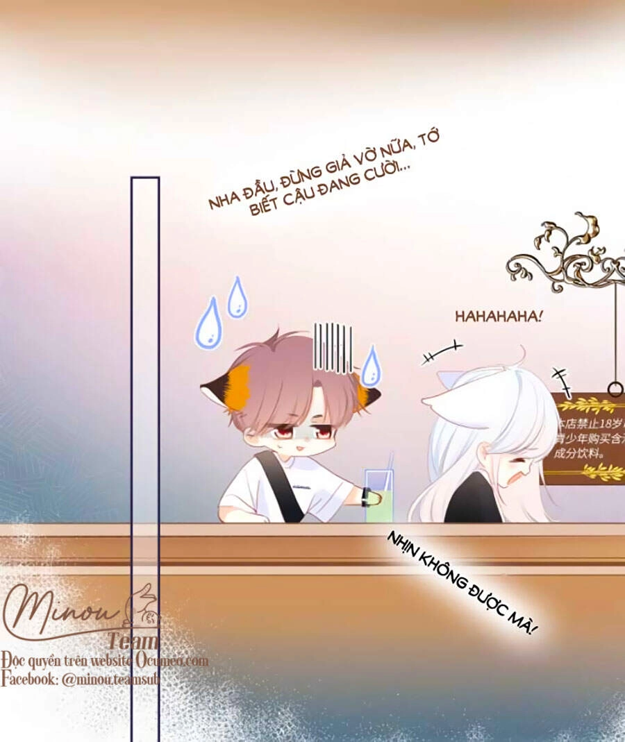 Con Tim Rung Động 3 Chapter 14 - 15