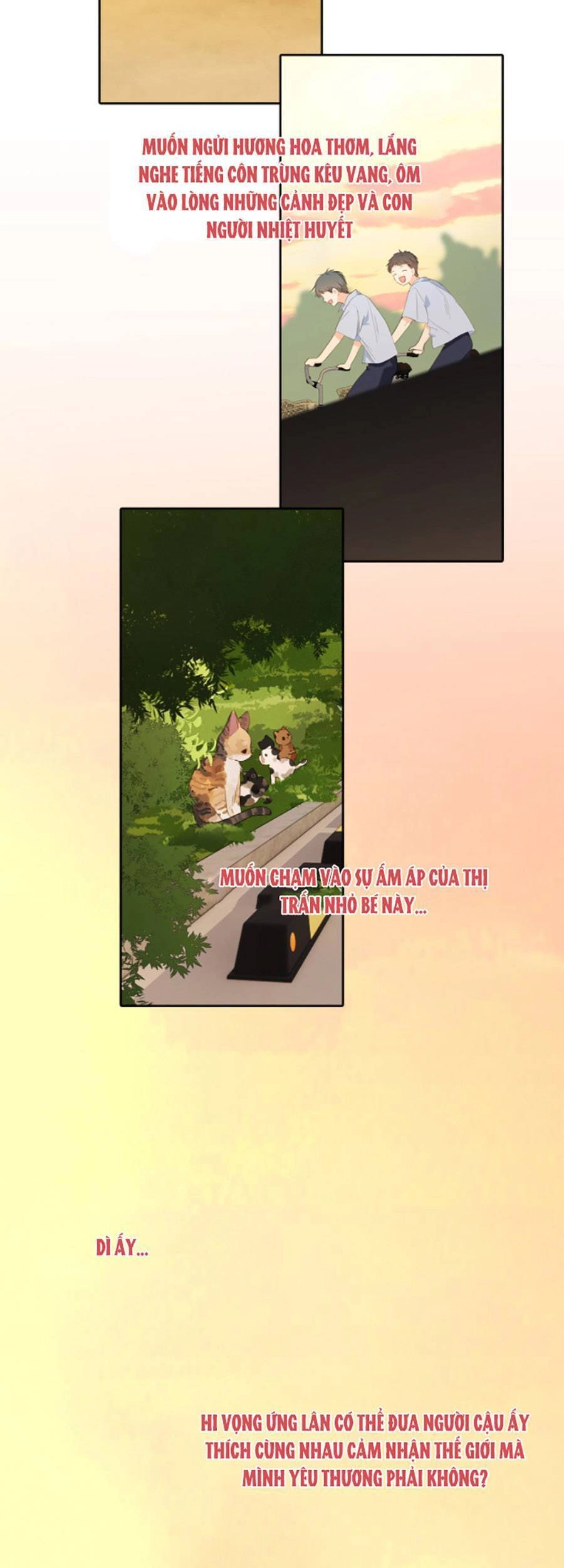 Con Tim Rung Động 3 Chapter 34 - 5