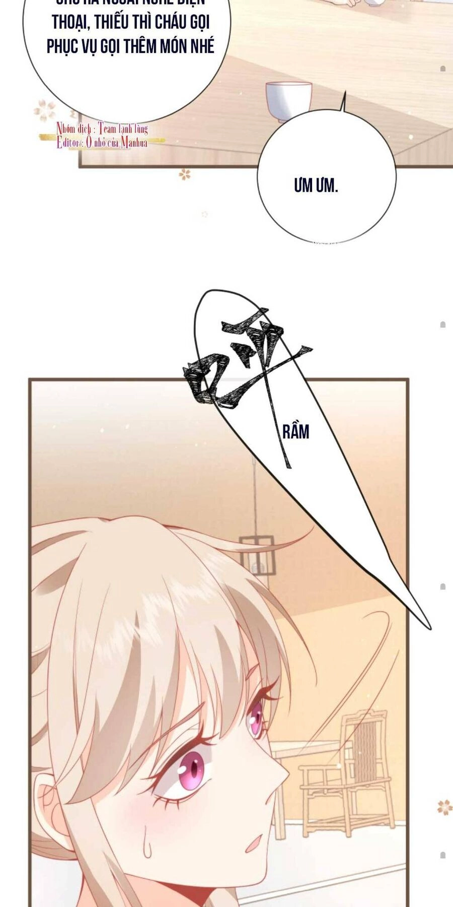 Trọng Sinh Trở Lại Làm Vợ Tổng Tài Chapter 3 - 30