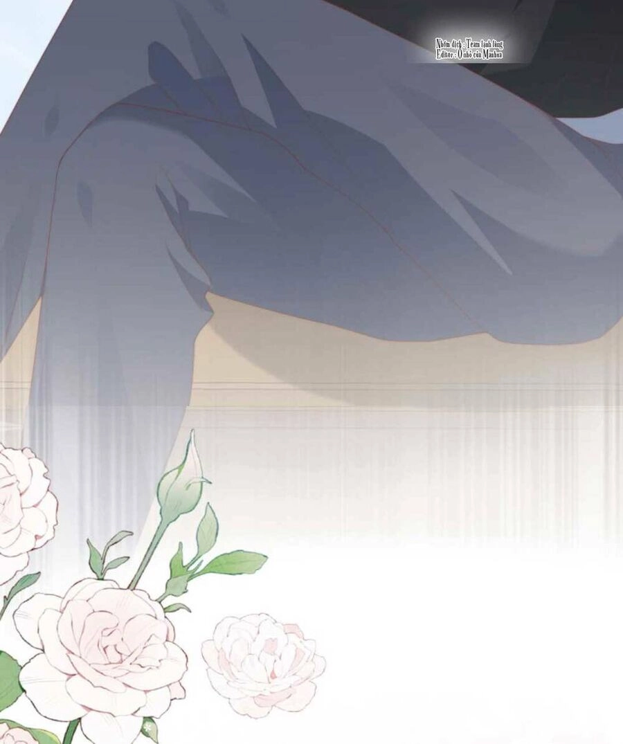 Trọng Sinh Trở Lại Làm Vợ Tổng Tài Chapter 19 - 25