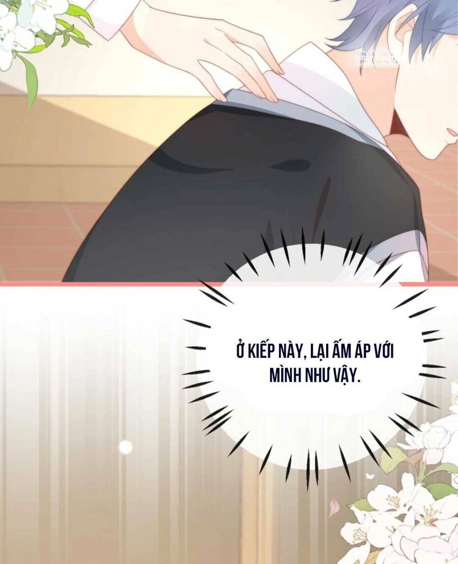 Trọng Sinh Trở Lại Làm Vợ Tổng Tài Chapter 21 - 24