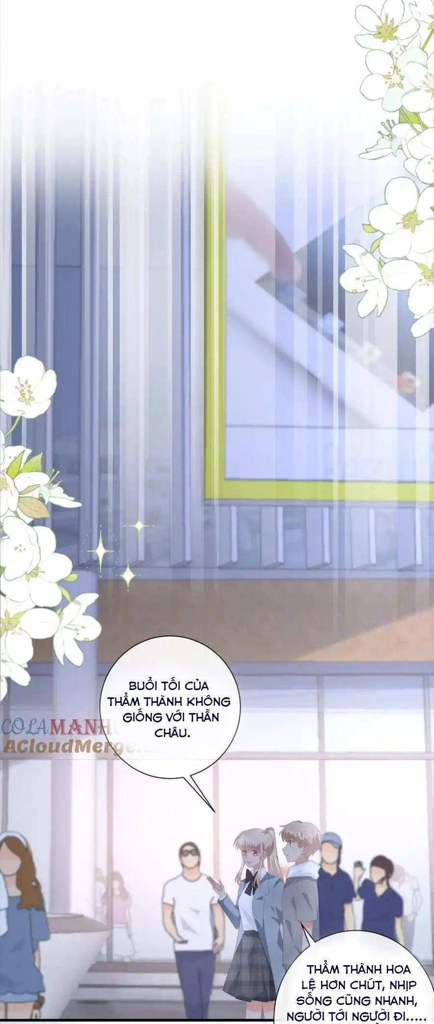 Trọng Sinh Trở Lại Làm Vợ Tổng Tài Chapter 117 - 14