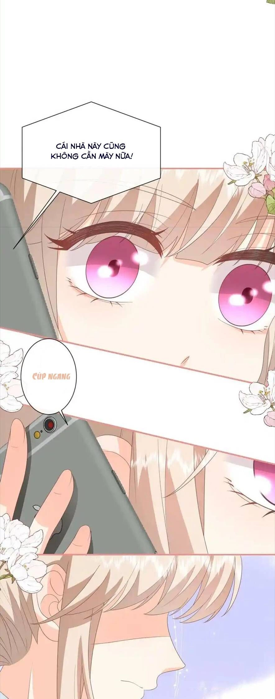 Trọng Sinh Trở Lại Làm Vợ Tổng Tài Chapter 75 - 15