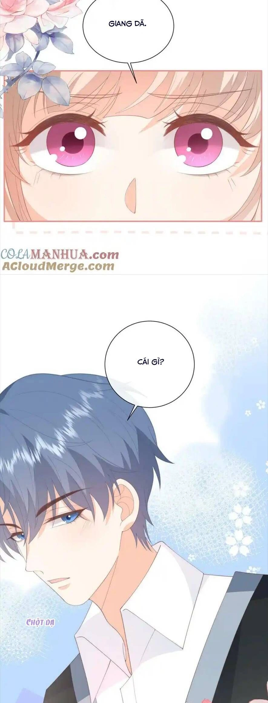 Trọng Sinh Trở Lại Làm Vợ Tổng Tài Chapter 81 - 24