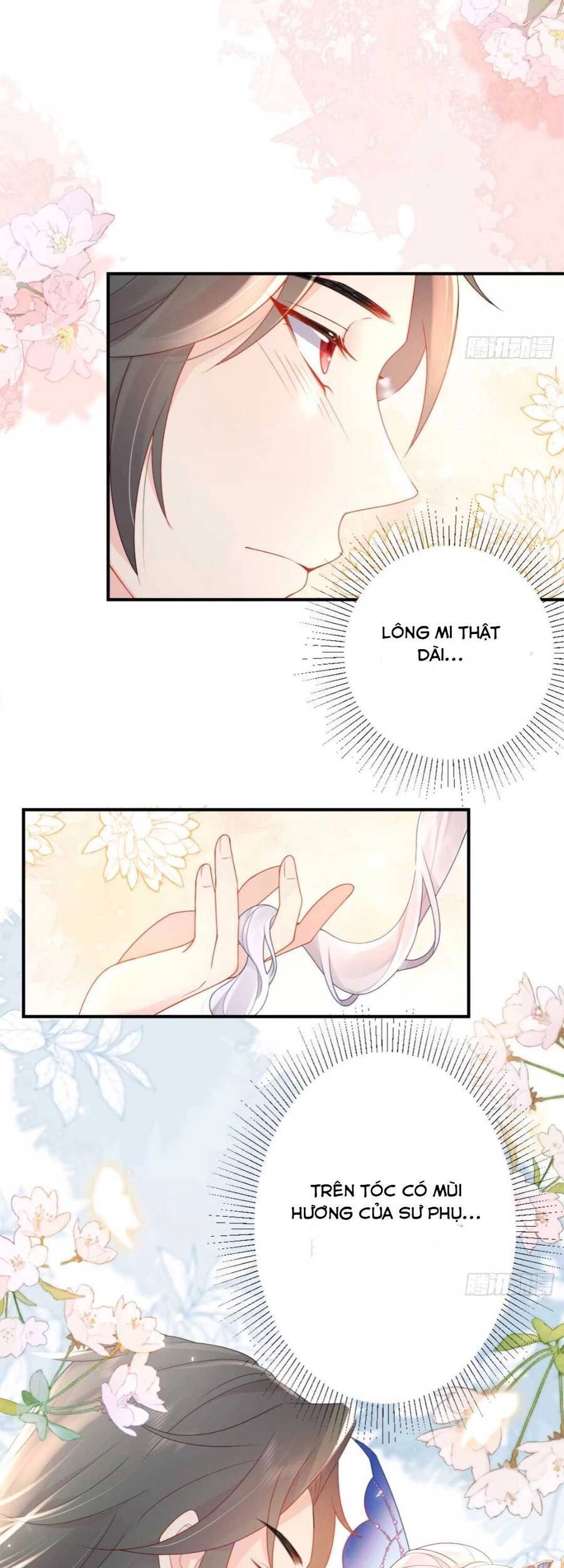 Sư Phụ Ta Muốn Người Là Của Riêng Ta Chapter 5 - 42