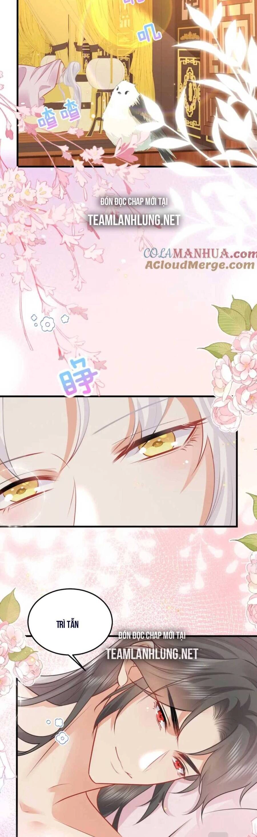 Sư Phụ Ta Muốn Người Là Của Riêng Ta Chapter 64 - 16