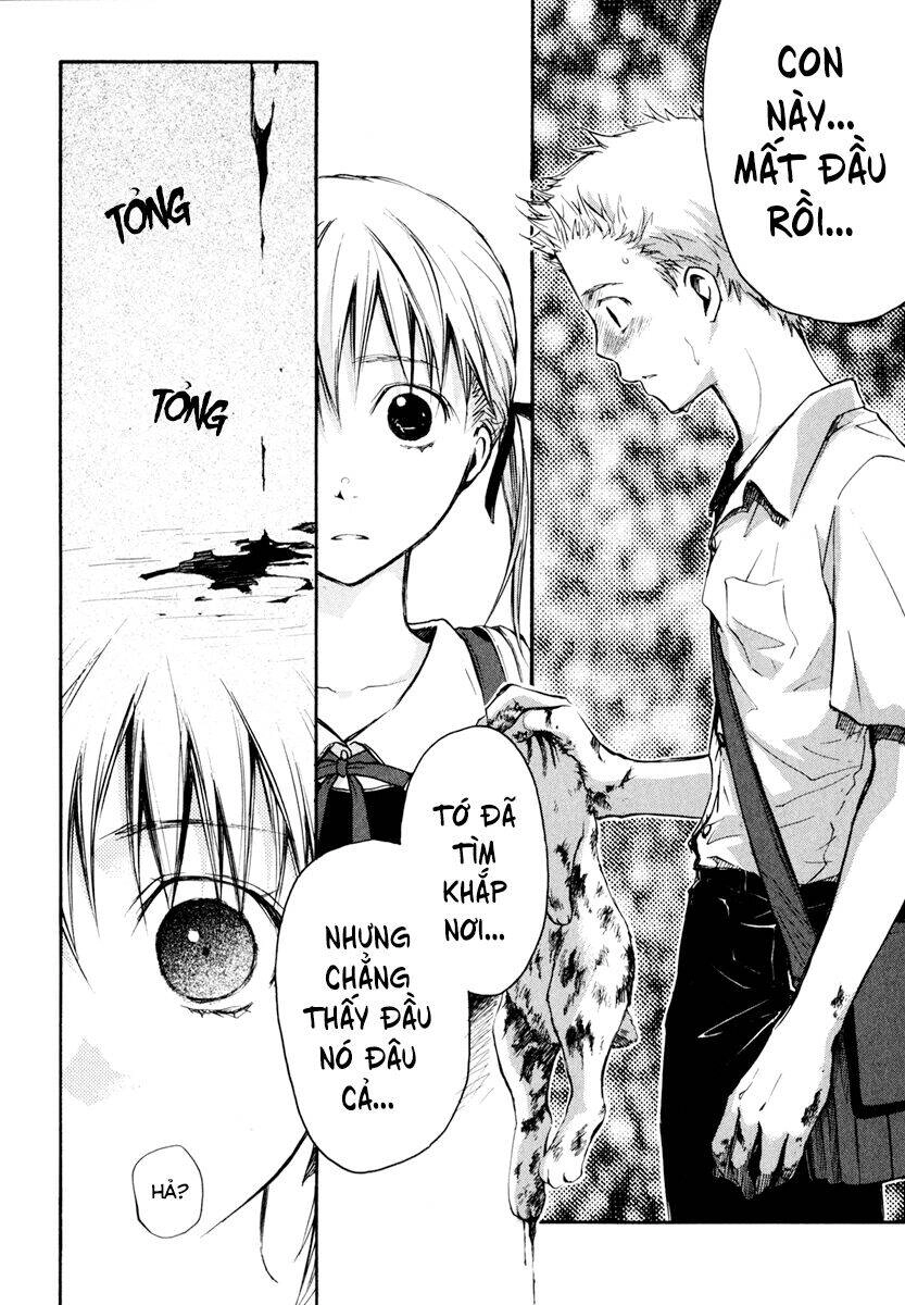 A Lollipop Or A Bullet Chapter 8 - 21