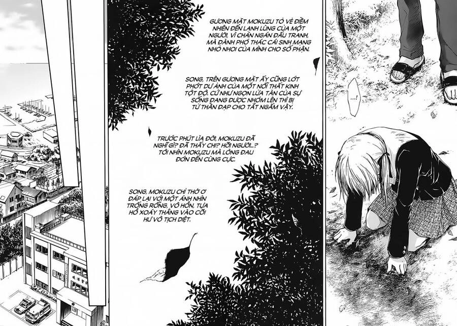 A Lollipop Or A Bullet Chapter 13 - 18