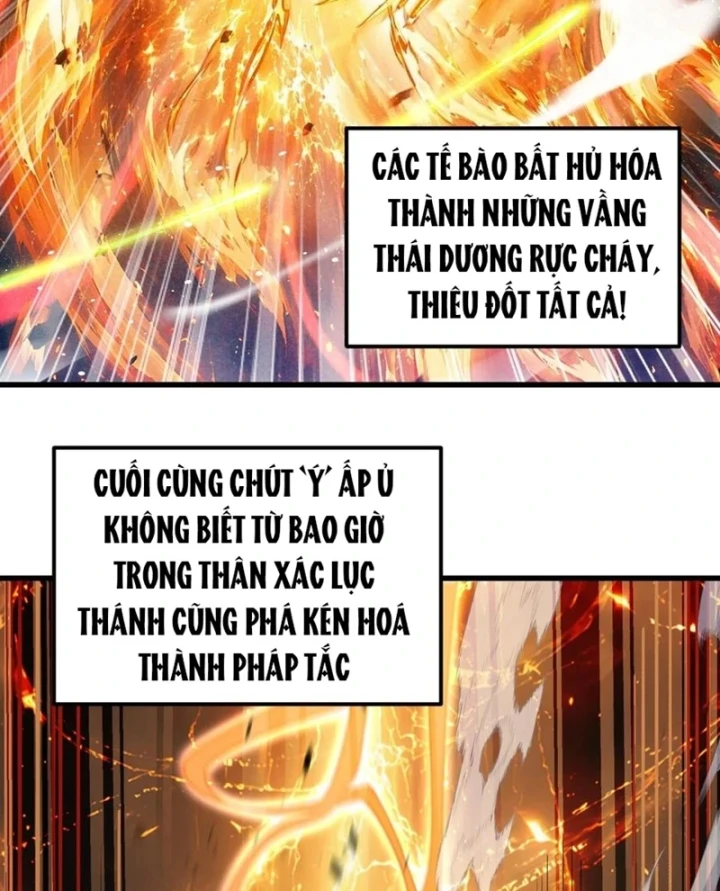Cao Võ: Hạ Cánh Đến Một Vạn Năm Sau Chapter 327 - 80