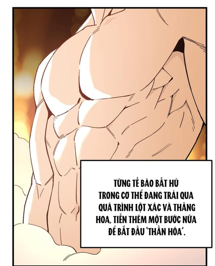 Cao Võ: Hạ Cánh Đến Một Vạn Năm Sau Chapter 328 - 28