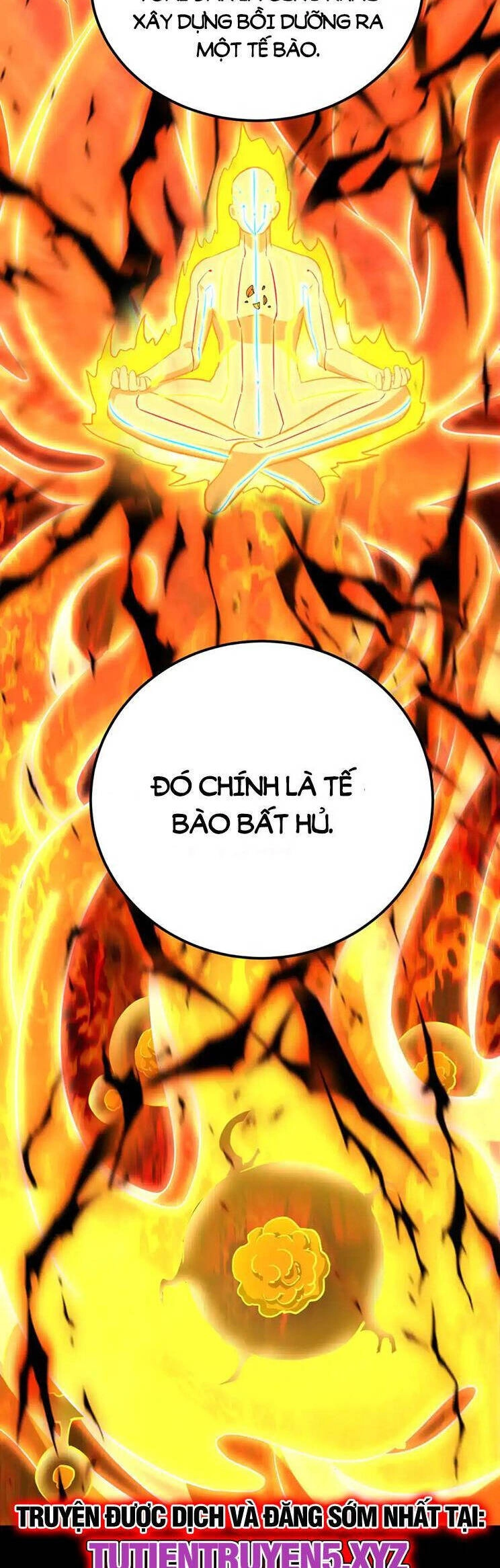 Cao Võ: Hạ Cánh Đến Một Vạn Năm Sau Chapter 120 - 12