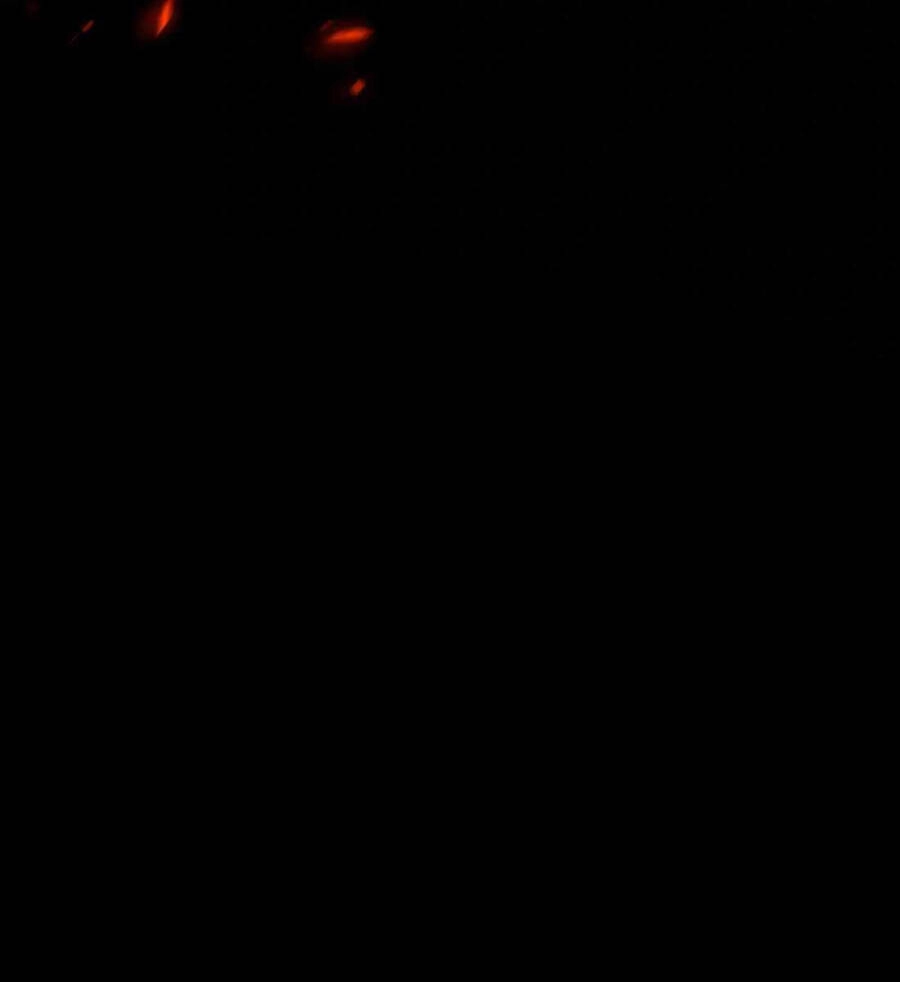 99 Thủ Lĩnh Chapter 3.5 - 117