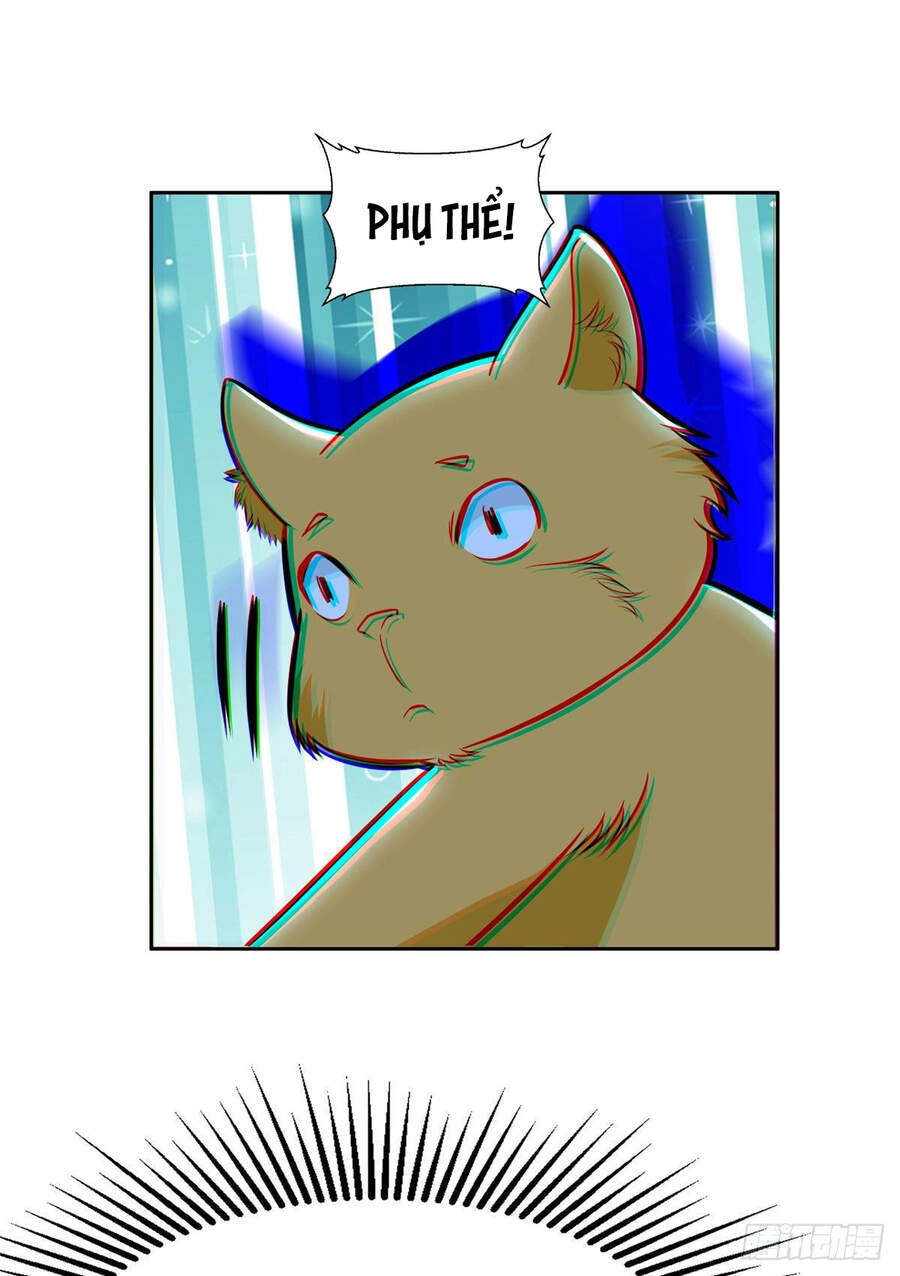 Trọng Sinh Chi Thần Cấp Bại Gia Tử Chapter 7 - 34